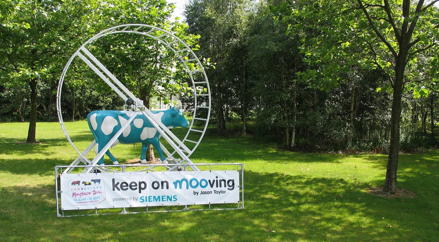 Keep On Mooving, a cow in a giant hamster wheel for the Manchester Cow Parade