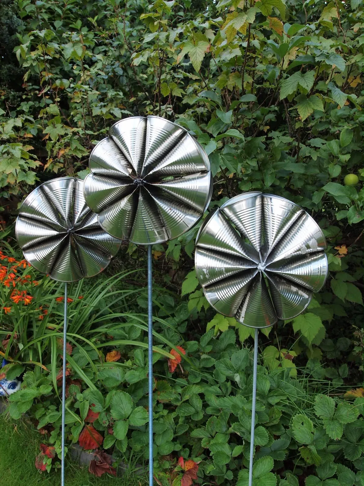 Can Flower Power, 2013